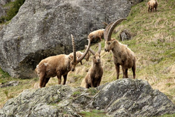 Champagny_le_Haut.jpg